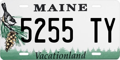 ME license plate 5255TY