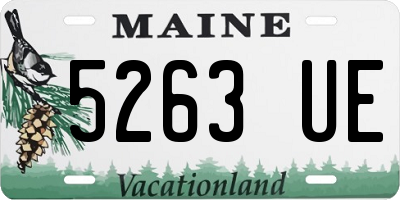 ME license plate 5263UE