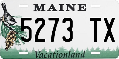 ME license plate 5273TX