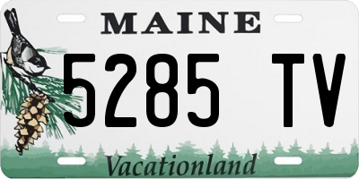 ME license plate 5285TV