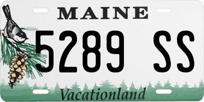 ME license plate 5289SS