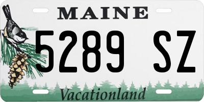 ME license plate 5289SZ