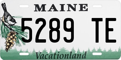 ME license plate 5289TE