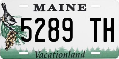 ME license plate 5289TH