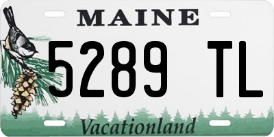 ME license plate 5289TL