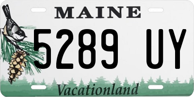 ME license plate 5289UY