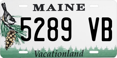 ME license plate 5289VB