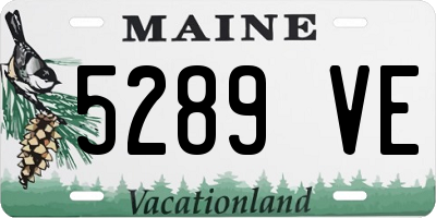 ME license plate 5289VE