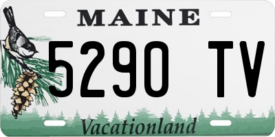 ME license plate 5290TV