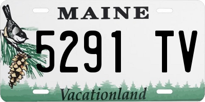 ME license plate 5291TV