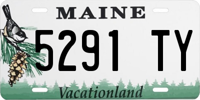 ME license plate 5291TY