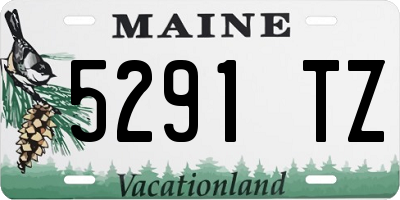 ME license plate 5291TZ