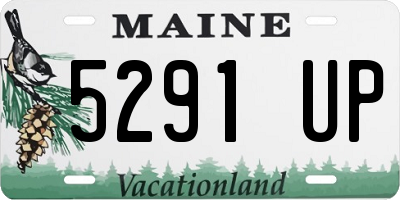 ME license plate 5291UP