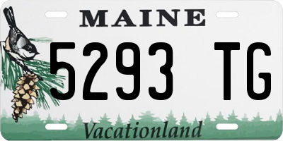 ME license plate 5293TG