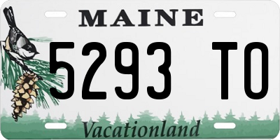 ME license plate 5293TO