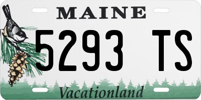ME license plate 5293TS