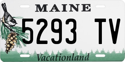 ME license plate 5293TV