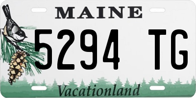ME license plate 5294TG