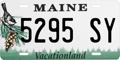 ME license plate 5295SY
