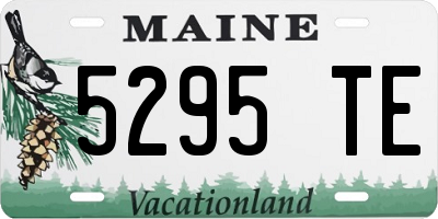 ME license plate 5295TE