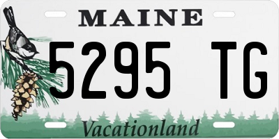 ME license plate 5295TG