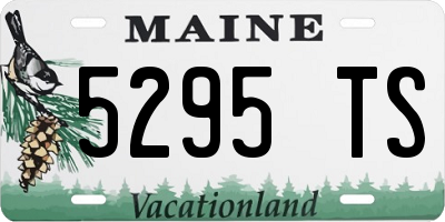 ME license plate 5295TS