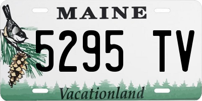 ME license plate 5295TV