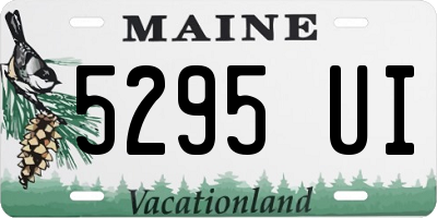 ME license plate 5295UI