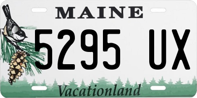 ME license plate 5295UX