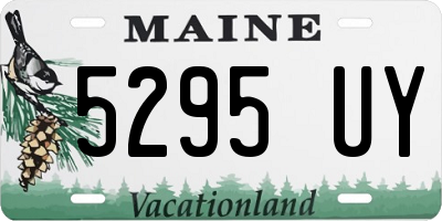 ME license plate 5295UY