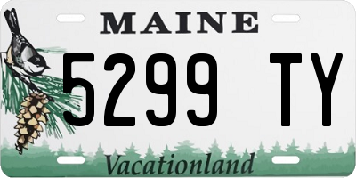 ME license plate 5299TY