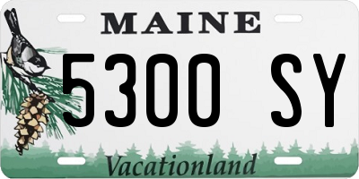 ME license plate 5300SY