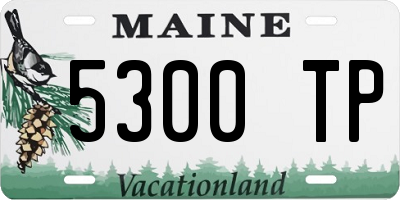 ME license plate 5300TP