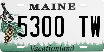 ME license plate 5300TW