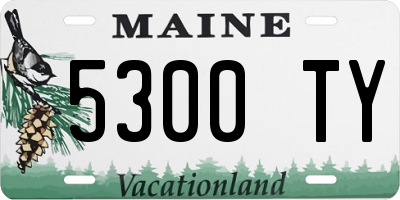 ME license plate 5300TY