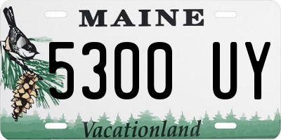 ME license plate 5300UY