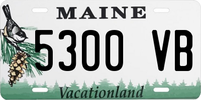 ME license plate 5300VB