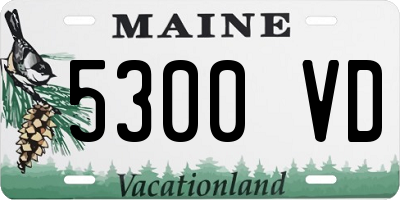 ME license plate 5300VD