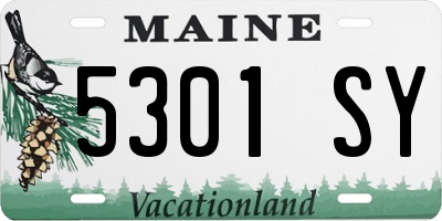 ME license plate 5301SY