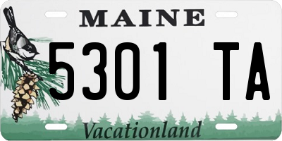 ME license plate 5301TA