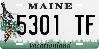ME license plate 5301TF