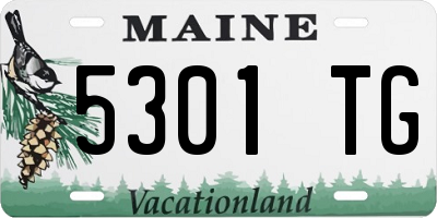 ME license plate 5301TG