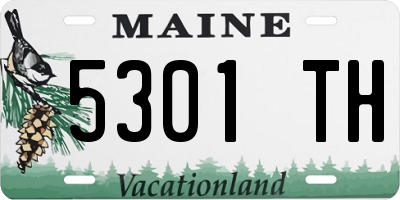 ME license plate 5301TH