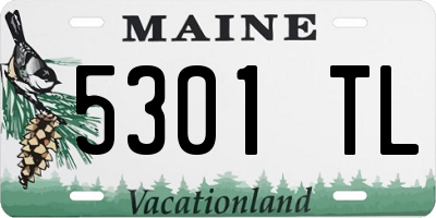 ME license plate 5301TL