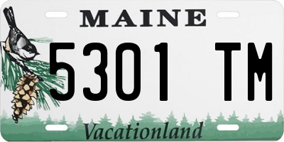 ME license plate 5301TM