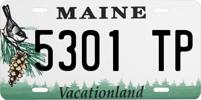 ME license plate 5301TP