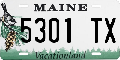 ME license plate 5301TX