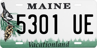 ME license plate 5301UE