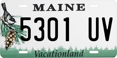 ME license plate 5301UV