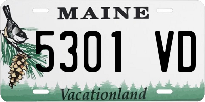 ME license plate 5301VD